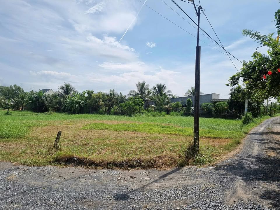 Đất nền Hậu Nghĩa, Đức Hòa 90m² giá 850 triệu - Vị trí thuận lợi, sổ hồng chính chủ!