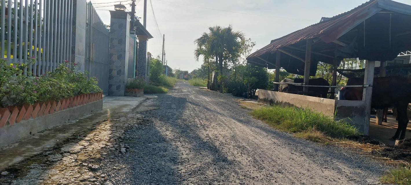 Đất nền Hòa Khánh, Đức Hòa, Long An 200m² giá 780 triệu - Đầu tư sinh lời ngay!