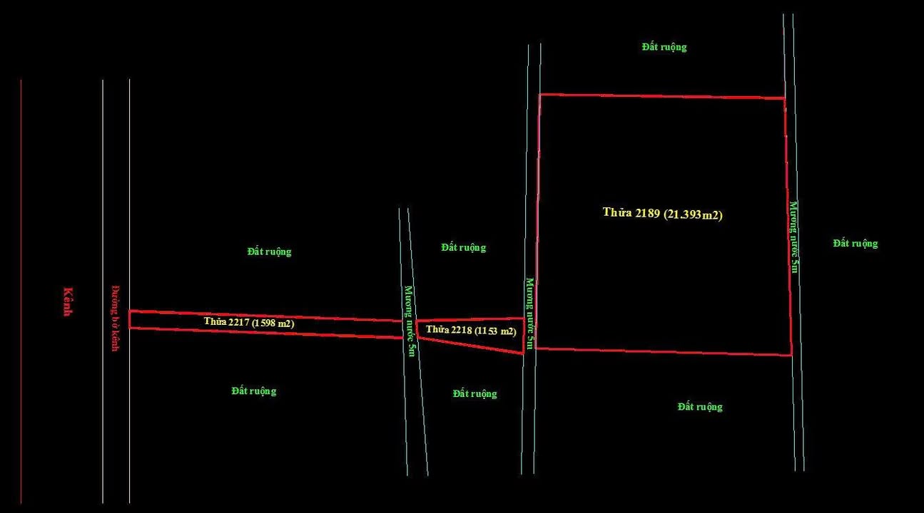 Đất lúa 24.000m² xã Mỹ Quý Đông, Đức Huệ - Giá chỉ 2.3 tỷ VND!