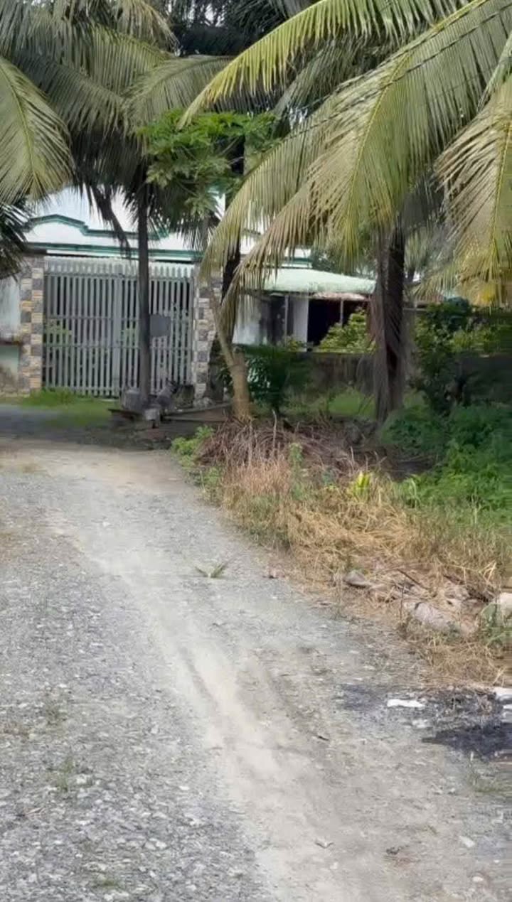 Đất nền Tân Phú, Đức Hòa 1.065m² giá 4.2 tỷ - Đường thông rộng, thổ cư sẵn!