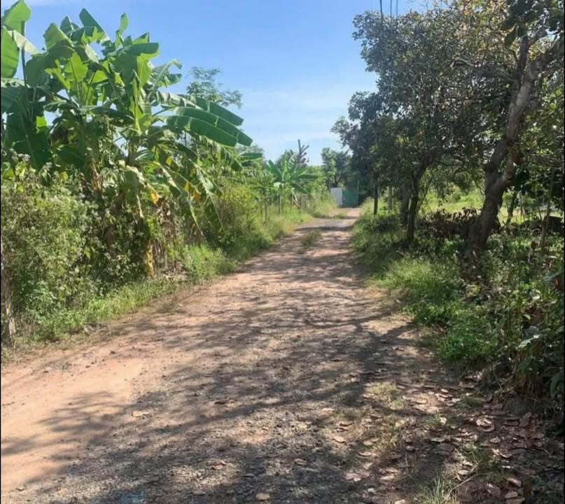 Đất nền Phú Hòa, Định Quán 2300m² giá 720 triệu - Đất vuông vức, gần tiện ích!