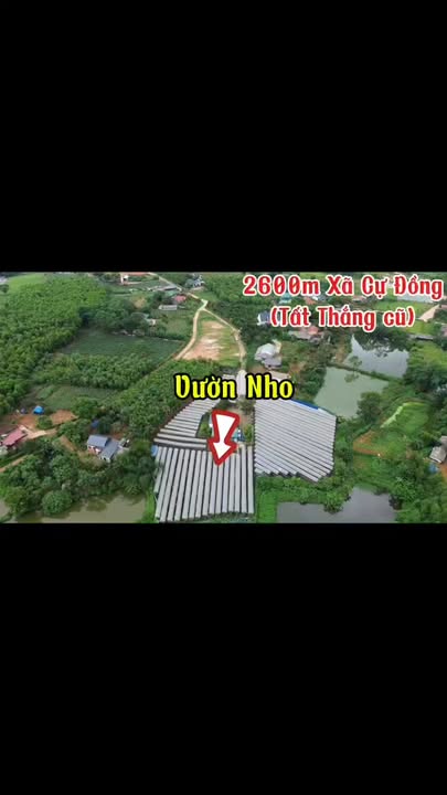 Đất nền 2600m² tại Tất Thắng, Thanh Sơn - Mặt tiền đẹp, giá thỏa thuận!