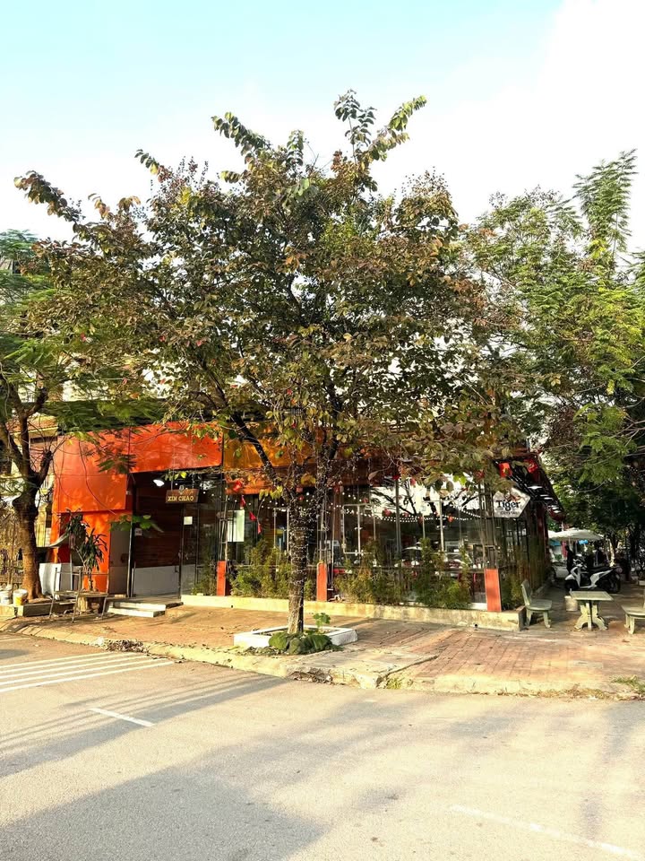 Đất thổ cư Nam Sơn Bắc Ninh 50m² giá 1 tỷ - Đầu tư sinh lời ngay!