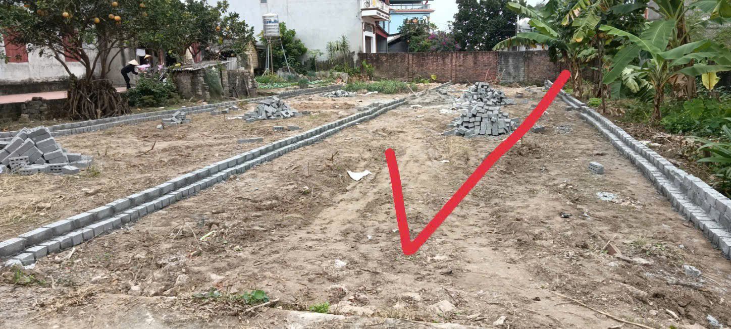 Đất nền Lương Phong, Hiệp Hòa 200m² giá thỏa thuận - Mặt tiền 6m, cơ hội đầu tư hấp dẫn!