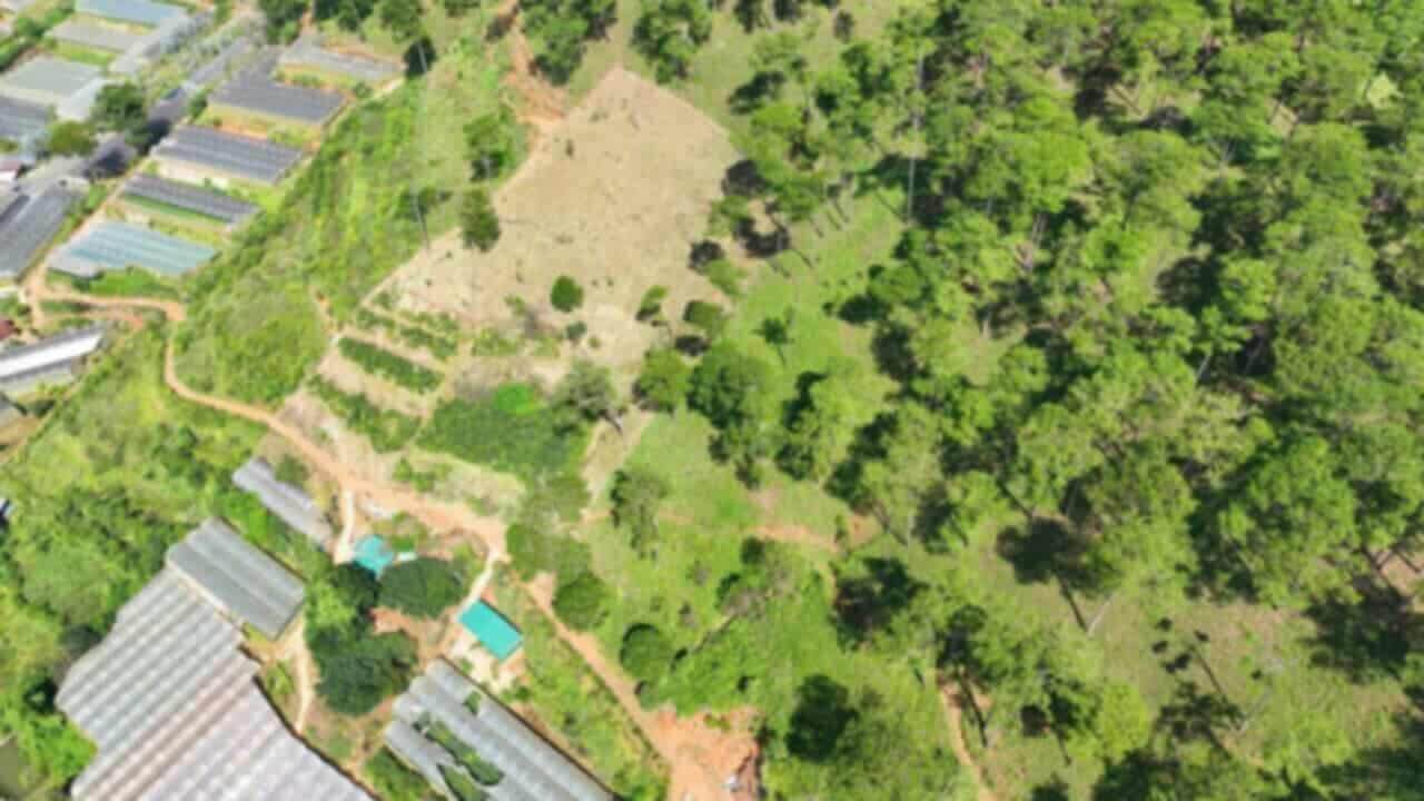 Đất nền Xuân Thọ Đà Lạt 5000m² giá chỉ 2 tỷ - View đồi thông tuyệt đẹp!