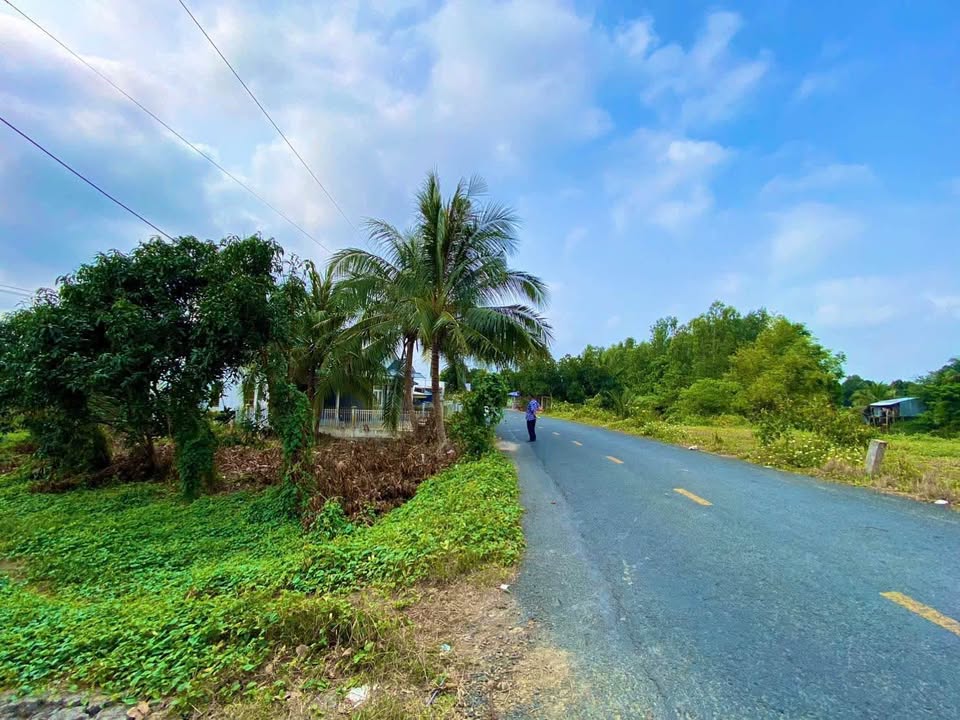 Đất thổ cư 1.257m² tại xã Bình Thành, Đồng Tháp - Giá chỉ 1.4 tỷ, pháp lý rõ ràng