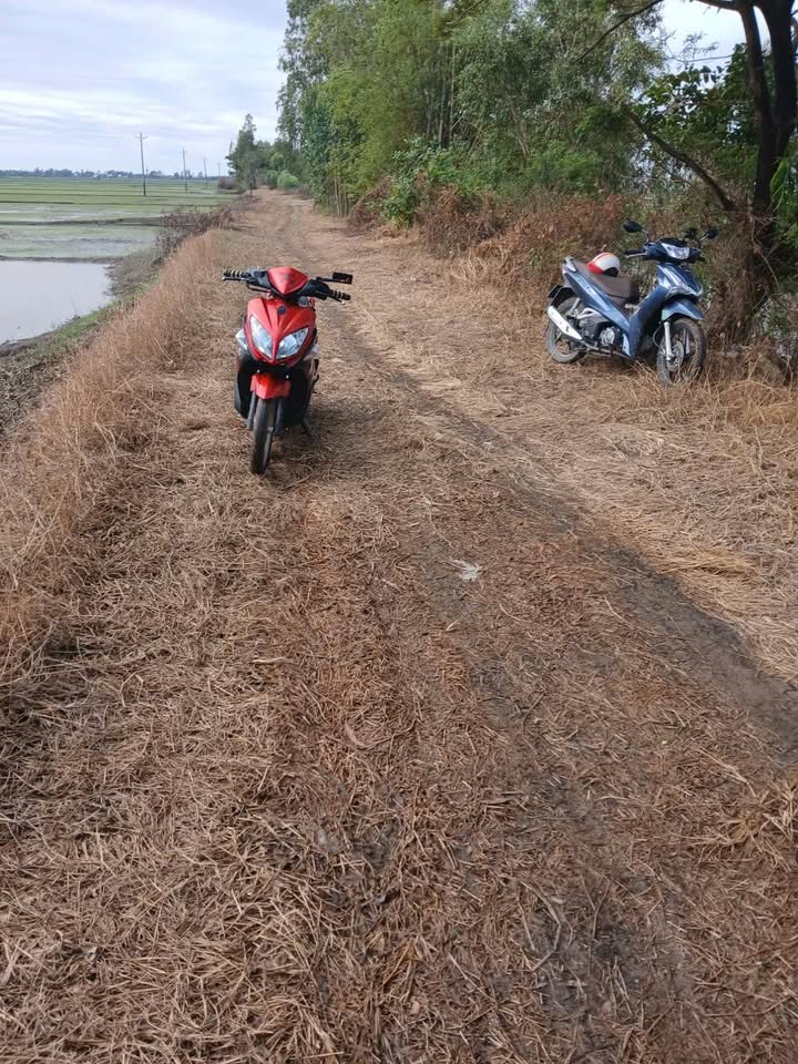 Đất nền mặt tiền 130m tại xã Bình Tân, 9800m² giá 1.38 tỷ - Cơ hội đầu tư hấp dẫn!