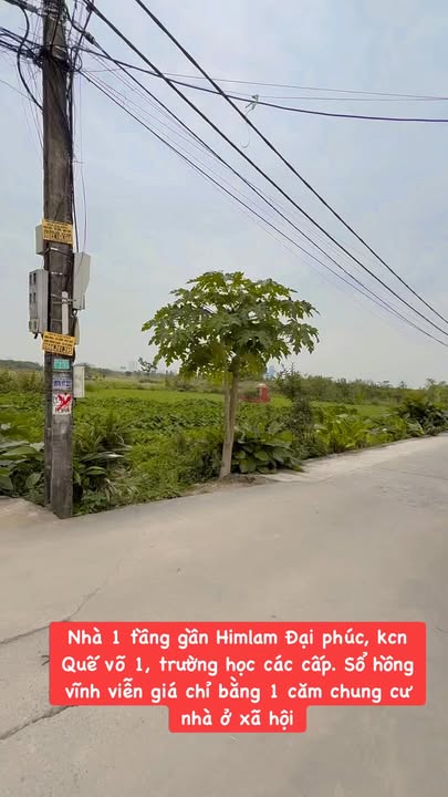 Nhà 1 tầng đường Hai Vân, Vân Dương 66m² giá 3 tỷ - Sẵn sàng vào ở ngay!