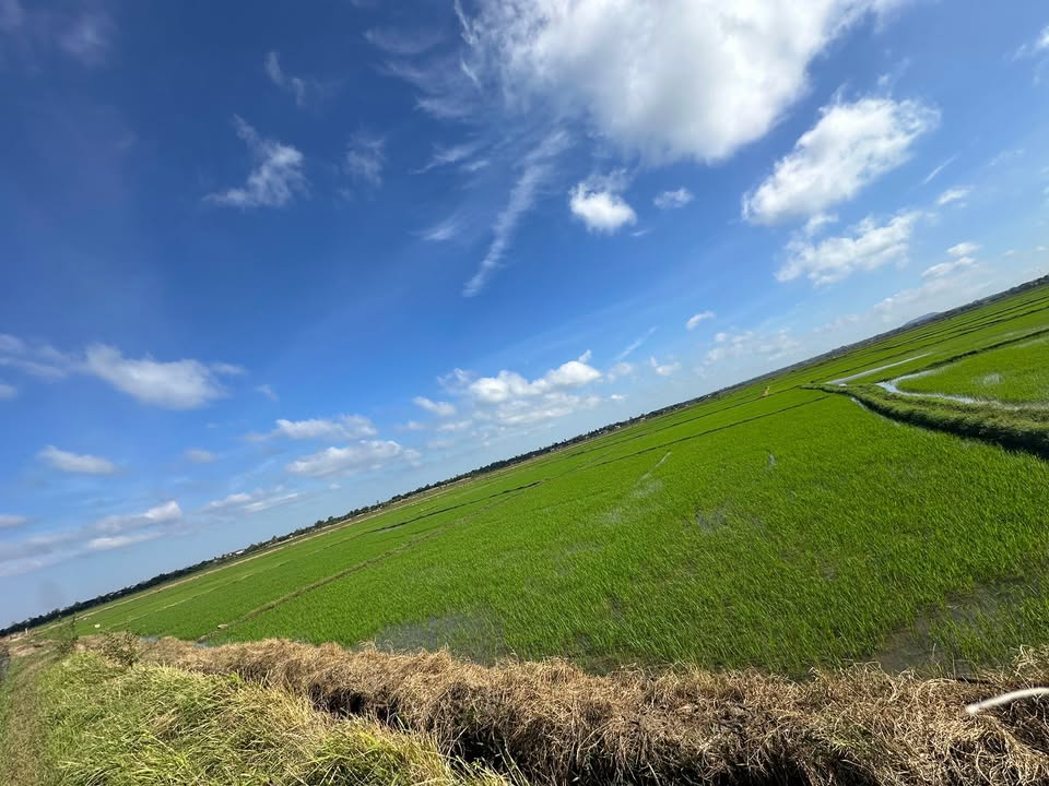 Đất nền Ea Bar Buôn Đôn 1584m² giá 345 triệu - Chính chủ cần bán gấp!