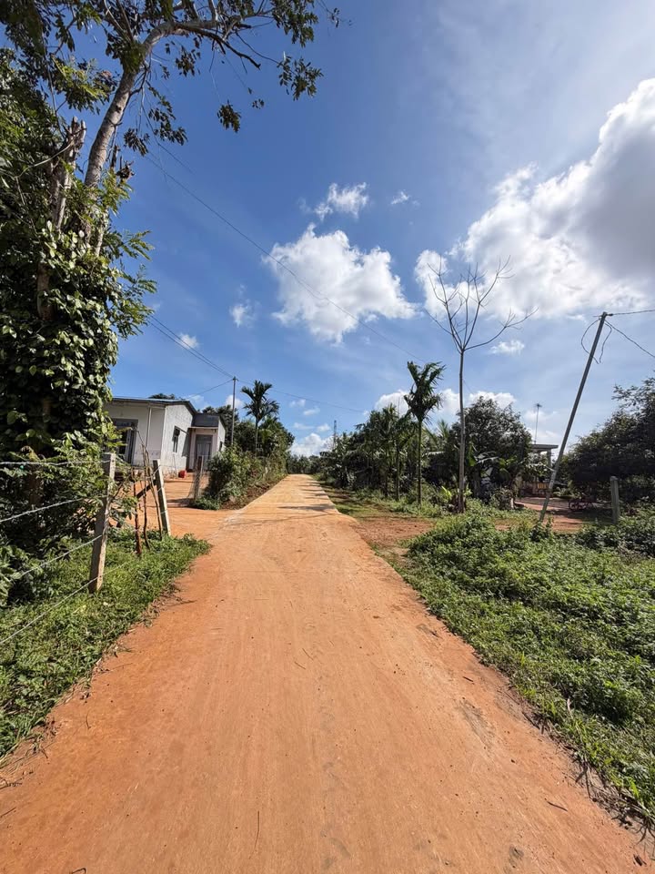 Đất nền Cuôr Đăng 215m² giá 525 triệu - Vị trí gần chợ thuận tiện!