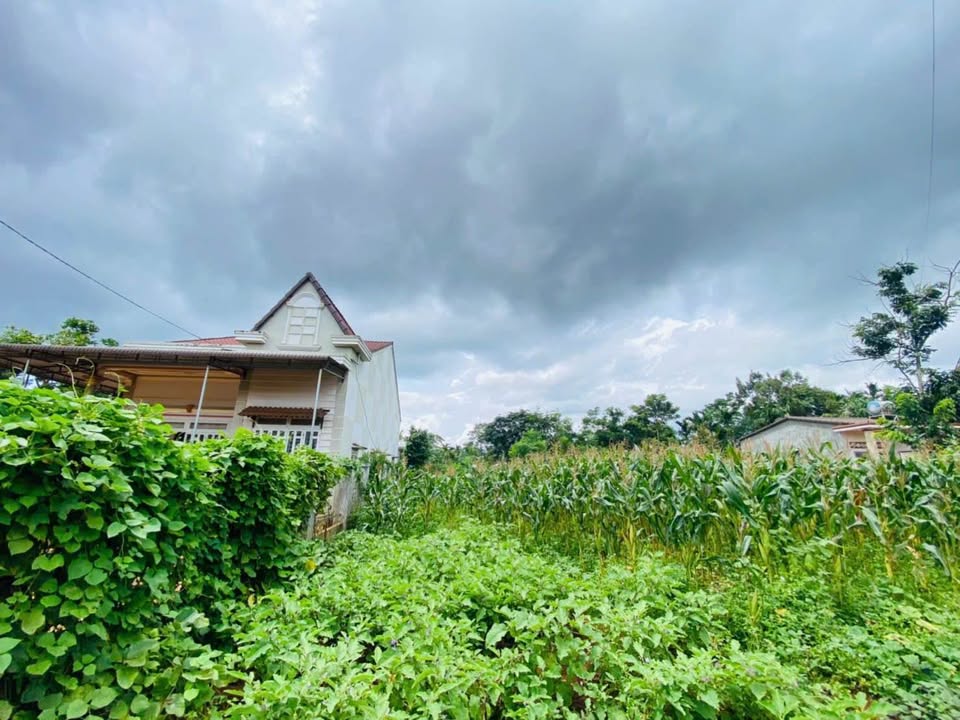 Đất nền Cuôr Đăng 250m² giá 640 triệu - Đầu tư sinh lời ngay!