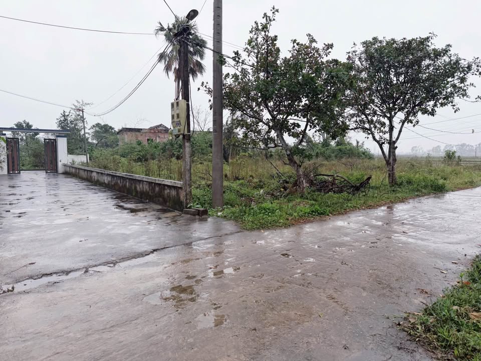 Đất TDP Mỹ Triều, Hà Huy Tập, 299,9m² - Vị trí đắc địa, tiềm năng khai thác cao!