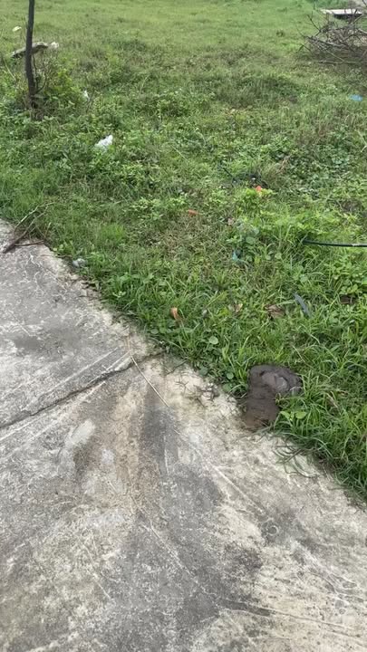 Đất nền Kỳ Thư, Kỳ Anh 231m² - Lô góc hai mặt tiền, giá thỏa thuận!