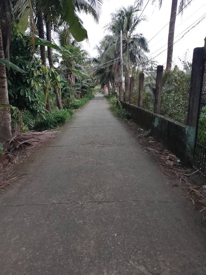 Đất nền xã Long Hưng, Châu Thành 50m² giá 1.1 tỷ - Cơ hội đầu tư tuyệt vời!