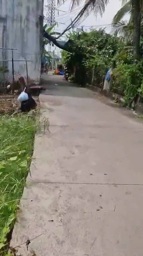 Đất nền ấp 4 xã Trung An, Mỹ Tho, 68m² giá chỉ 220 triệu - Cơ hội đầu tư hấp dẫn!