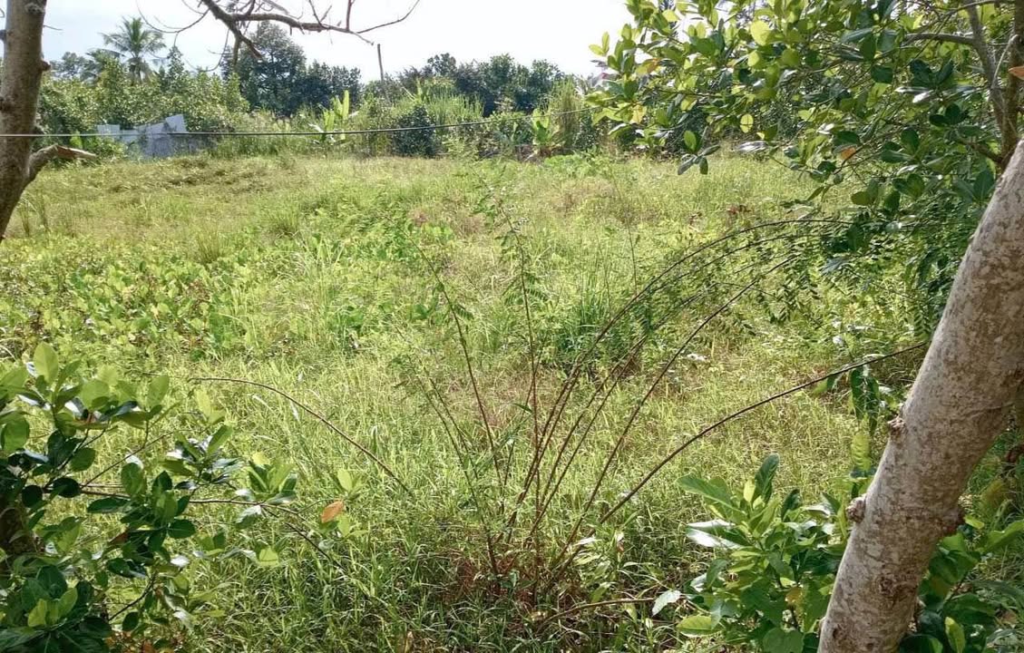 Đất nền huyện Cai Lậy 570m² giá 750 triệu - Sổ hồng chính chủ, vị trí đẹp!