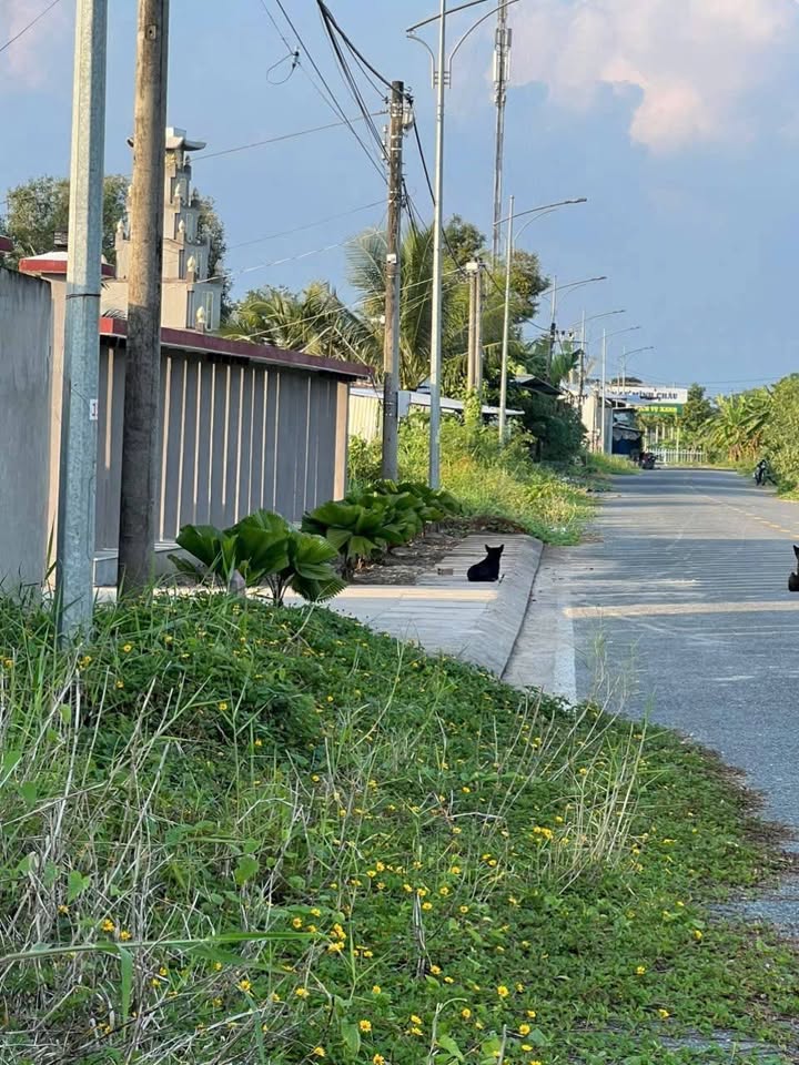 Đất nền mặt tiền Kênh 30/4, phường Sóc Trăng 500m² giá 4 tỷ - Tiềm năng đầu tư cao!