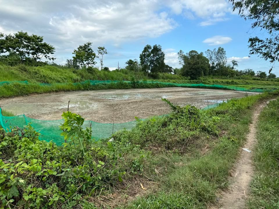 Đất vườn Bình Tân Tây Sơn 1000m² chỉ 100 triệu - Cơ hội đầu tư hấp dẫn!