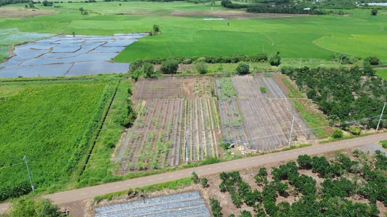 Lô đất mặt tiền Phạm Hùng, Đất Đỏ 1696m² giá 2.8 tỷ - Cơ hội đầu tư tuyệt vời!