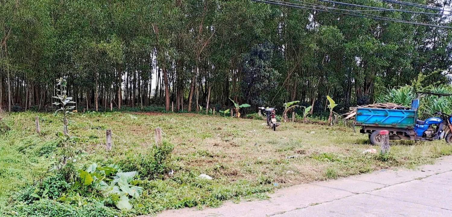 Đất đẹp 375m² tại Tam Mỹ, Núi Thành - Giá chỉ 6xx triệu - Đầu tư sinh lời!