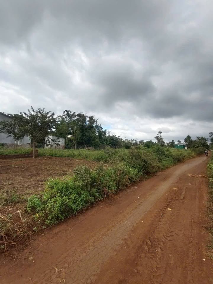 Đất nền liền kề Eakmat Krông Pắc 100m² giá 400 triệu - Cơ hội đầu tư hấp dẫn!