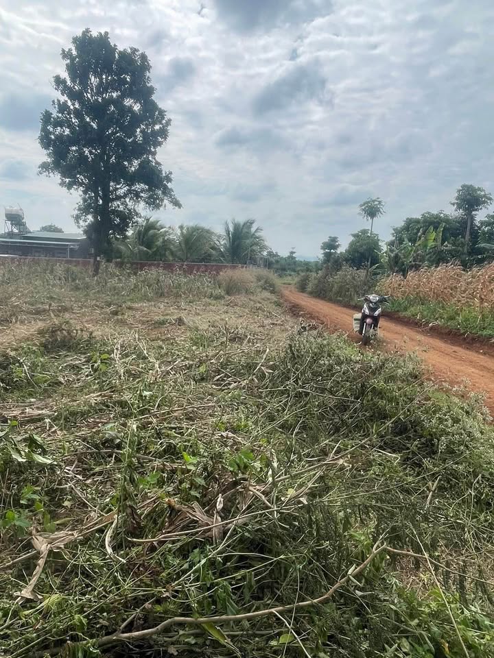 Đất nền Khánh Xuân Buôn Ma Thuột 626m² giá 550 triệu - Sổ đỏ chính chủ, hỗ trợ vay vốn!