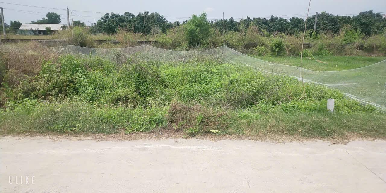 Đất nền Mỹ Hạnh, Đức Hòa 80m² giá 600 triệu - Đầu tư sinh lời ngay!