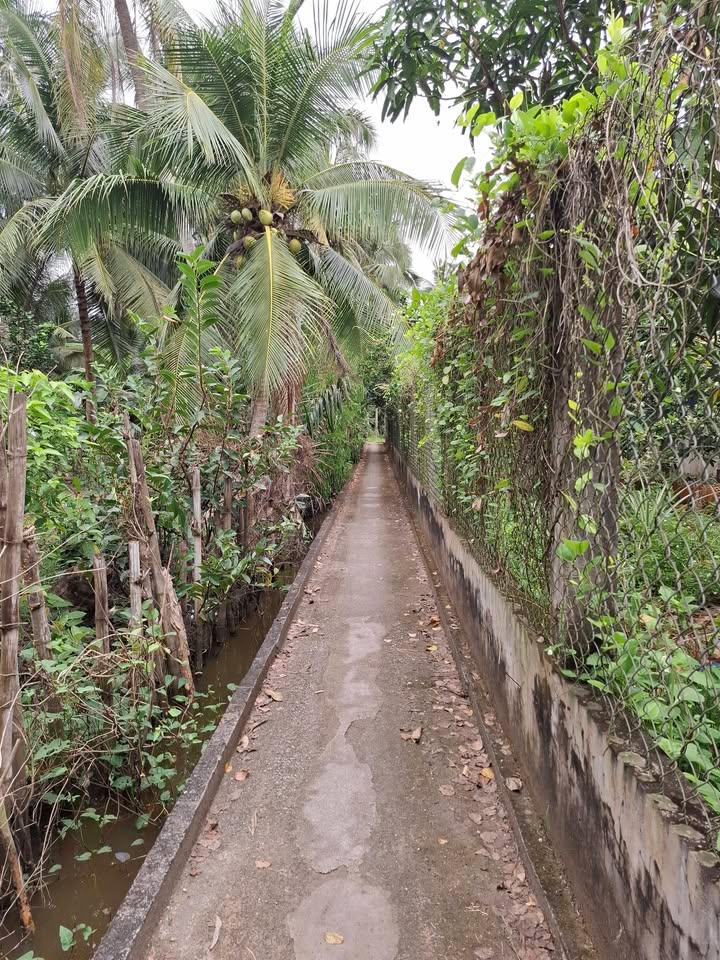 Đất nền ấp Trung Trị, Vĩnh Long 470m² giá 350 triệu - Cơ hội đầu tư hấp dẫn!