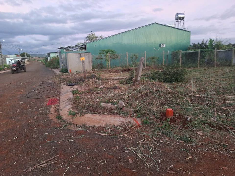 Đất nền Lý Thường Kiệt, Pleiku 384m² giá 2.39 tỷ - Lô góc đẹp, vị trí đắc địa!