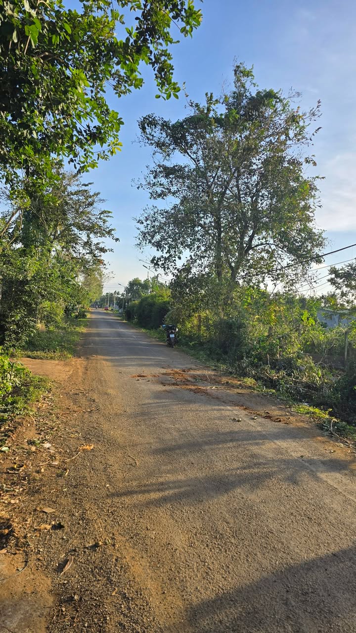 Đất mặt tiền đường Buôn Krong A, Tân An 225m² giá 1.95 tỷ - Vị trí đẹp, thuận tiện giao thông!