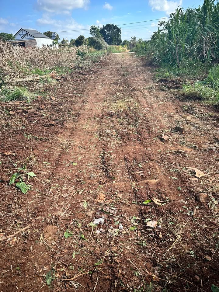 Đất nền thôn 9, xã Tân Hòa, huyện Buôn Đôn 570m² giá 456 triệu - Vị trí đắc địa gần tiện ích!