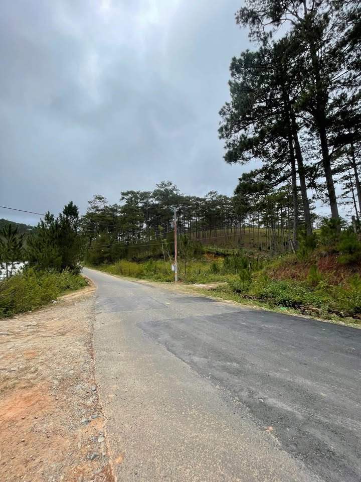 Đất vườn Đạ Nhim 8000m² giá thỏa thuận - Chính chủ cần bán gấp!