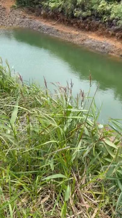 Đất thổ cư Đắk Ha 20,000m² giá 1.8 tỷ - Cơ hội đầu tư sinh lời!