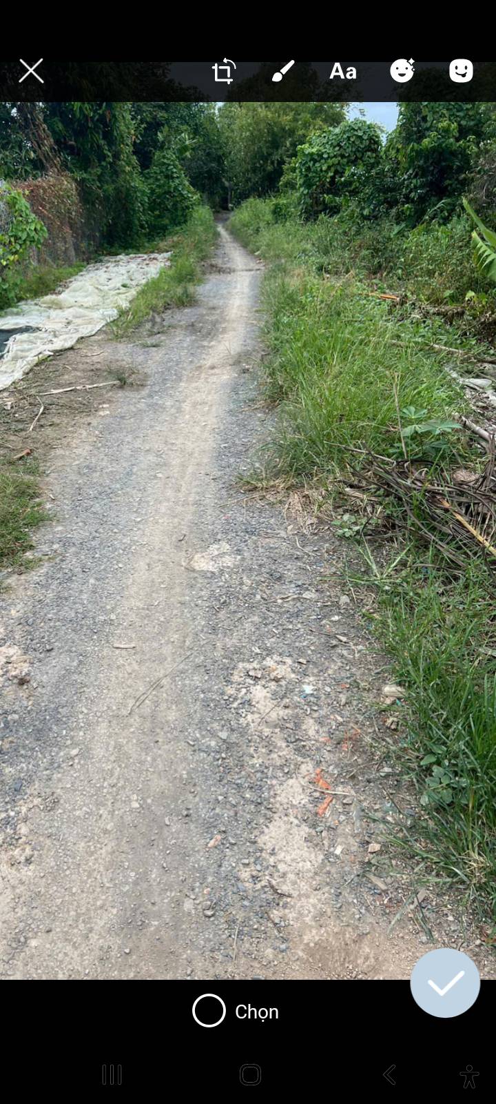 Đất nền 1500m² xã Bình Tấn, huyện Thanh Bình - Giá chỉ 370 triệu!