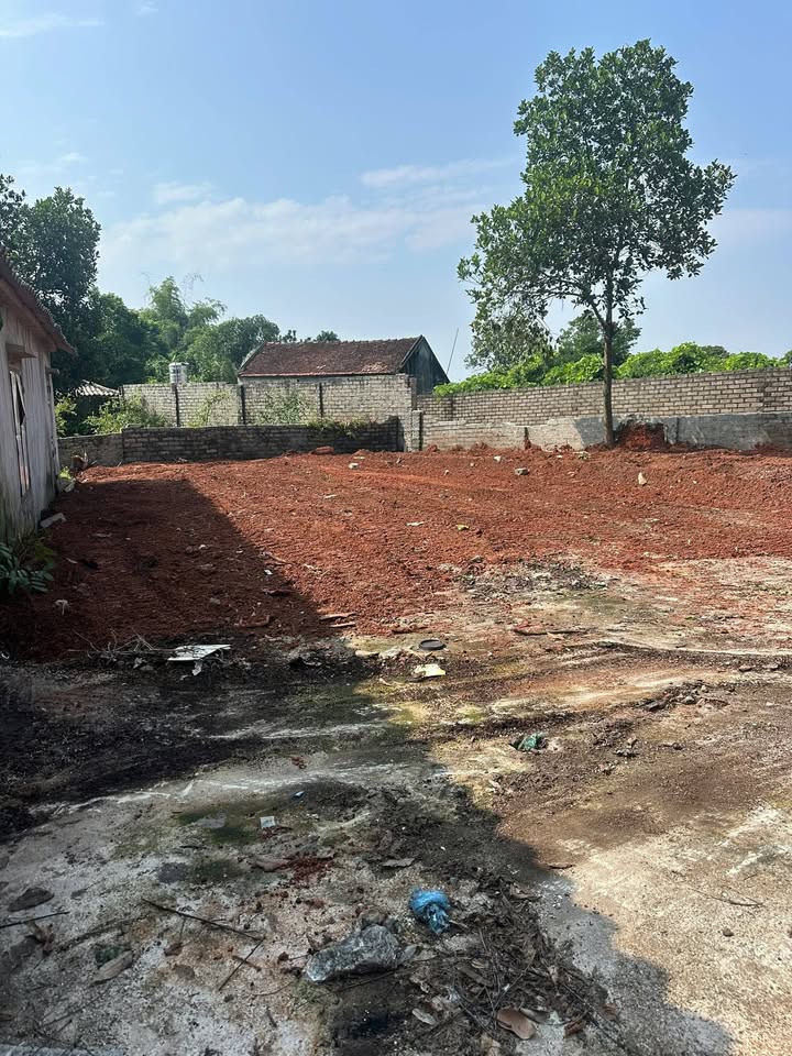 Đất nền Tổ dân phố 3, Thị trấn Kép, Lạng Giang 241m² giá 1.5 tỷ - Cơ hội đầu tư hấp dẫn!