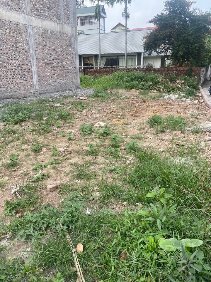 Đất nền Kiêu Kỵ Gia Lâm 59m² giá 4 tỷ - Đầu tư sinh lời tiềm năng!