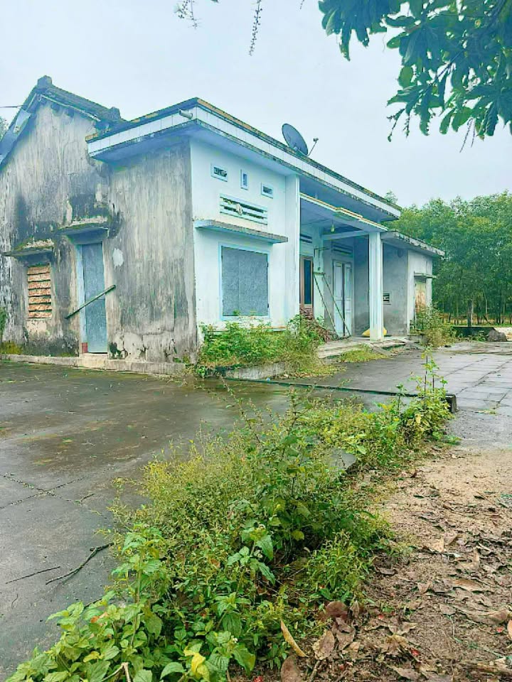 Đất nền Quế Xuân 2, Quế Sơn 200m² giá chỉ 420 triệu - Cơ hội đầu tư tuyệt vời!