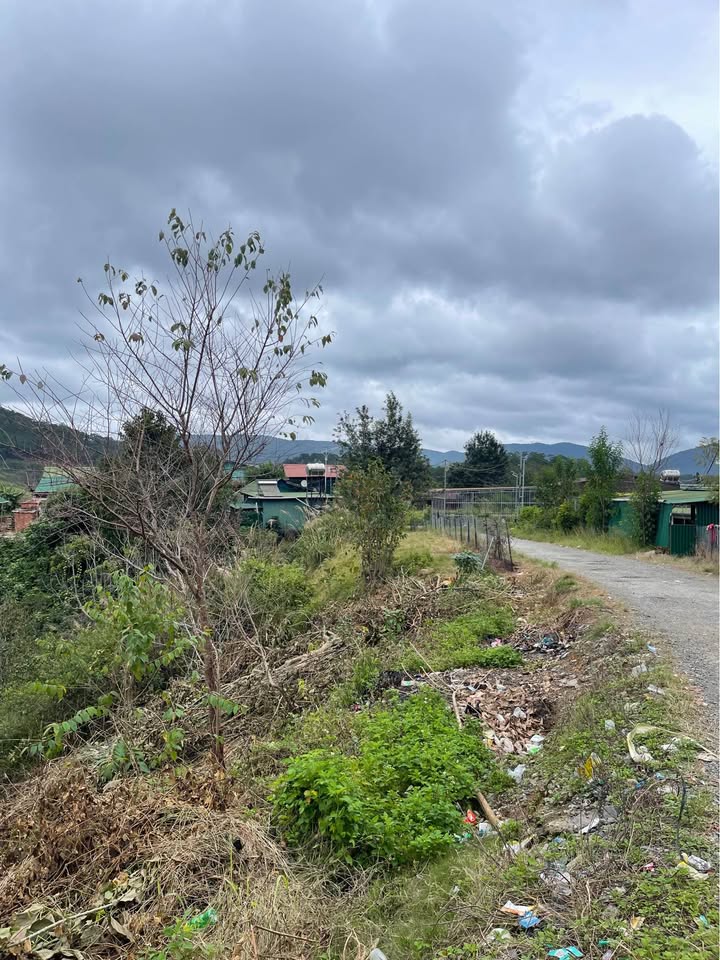 Đất nền Lạc Dương 563m² giá 1.5 tỷ - Cơ hội đầu tư tuyệt vời!