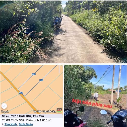 Farm 3600m² tại ấp 5, Phú Tân, Định Quán giá chỉ 390 triệu - Cơ hội đầu tư hấp dẫn!