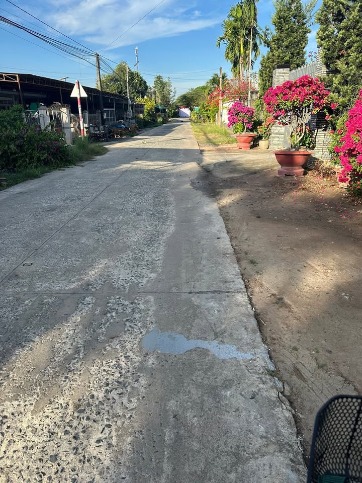 Nhà mái thái mặt tiền đường bê tông Thanh Sơn, Tây Ninh 185m² giá 1.8 tỷ - Đầu tư sinh lời ngay!