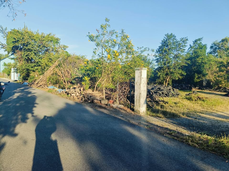 Đất nền Xã Phước Thuận, Xuyên Mộc 6500m² giá 16.25 tỷ - Cơ hội đầu tư lý tưởng!