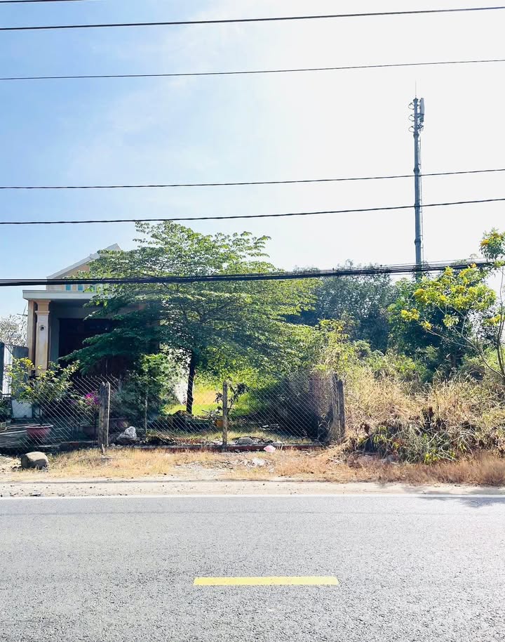 Đất nền đường Nguyễn Thị Rành Nhuận Đức 155,6m² - Vị trí đẹp, xây dựng tự do!