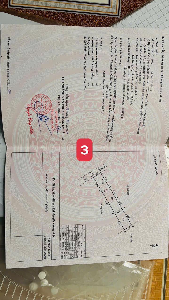 Đất nền Thôn Địa Mối, Xã An Sinh 185,6m² - Tiềm năng đầu tư sinh lời!