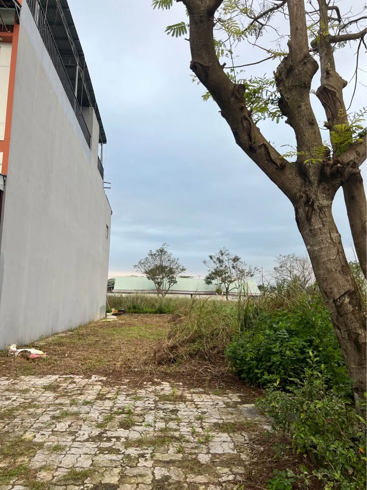 Lô đất Hỏa Sơn 3, Ngũ Hành Sơn 100m² giá 5.33 tỷ - Không lỗi phong thủy!