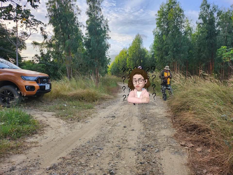 Đất nền 4ha Hàm Cần Bình Thuận giá 4.2 tỷ - Gần khu dân cư và núi