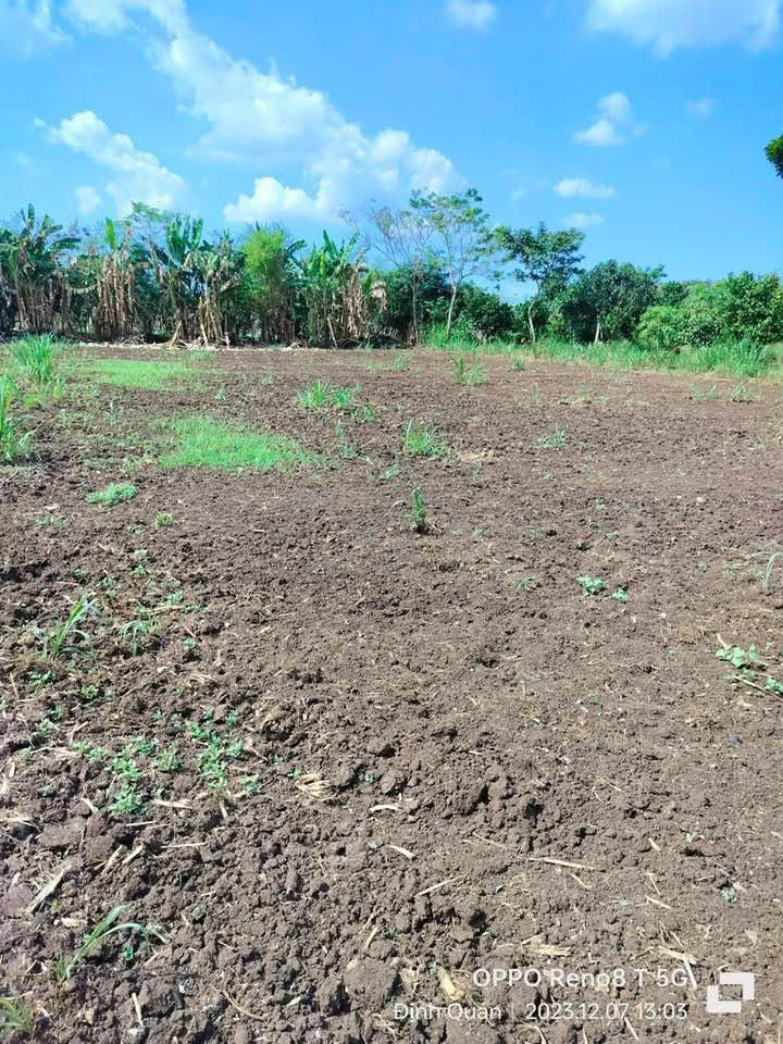 Đất nền 3700m² xã Suối Nho, Xuân Lộc - Giá chỉ 1.3 tỷ, sổ đỏ chính chủ!