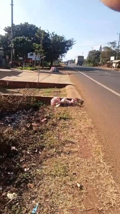 Đất nền Chư Pưh, Gia Lai 920m² - Cơ hội đầu tư tuyệt vời!