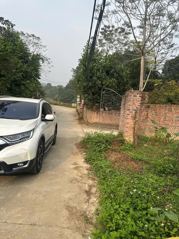 Đất thổ cư Kim Đức Việt Trì 132m² giá chỉ 1 tỷ - Đầu tư sinh lời ngay!