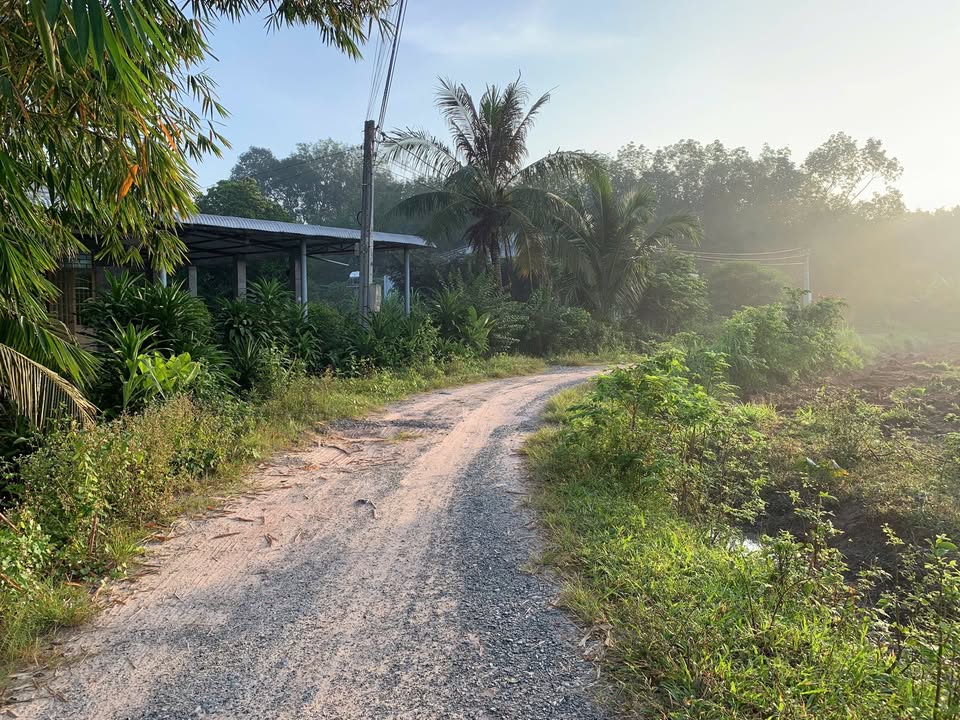 Đất thổ cư Thạnh Đức, Gò Dầu, Tây Ninh 410m² - Giá chỉ 650 triệu!