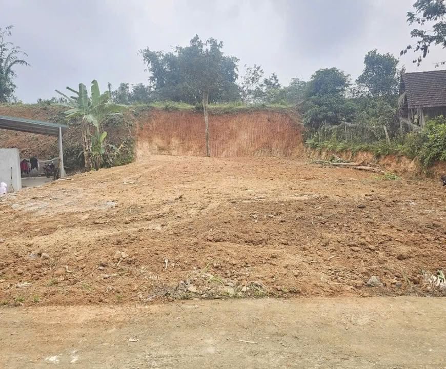 Đất thổ cư Văn Miếu, Thanh Sơn 156m² giá chỉ từ 300 triệu - Sổ hồng chính chủ!